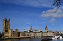 Vấn đề Brexit: Thượng viện Anh bác đề xuất rời khỏi Liên minh Thuế quan